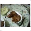 Genau das richtige f�r unseren Appetit