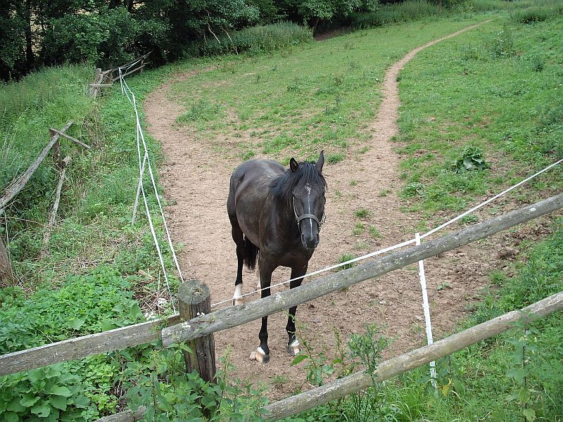 was_gucks_du.jpg